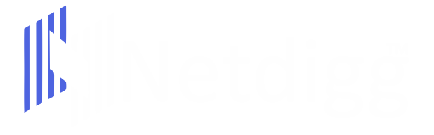 Netdigg Inc